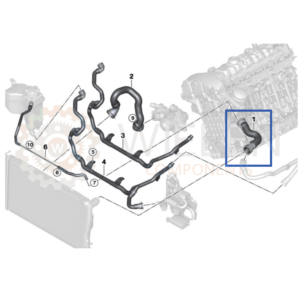 Manicotto Radiatore Bmw W140127H