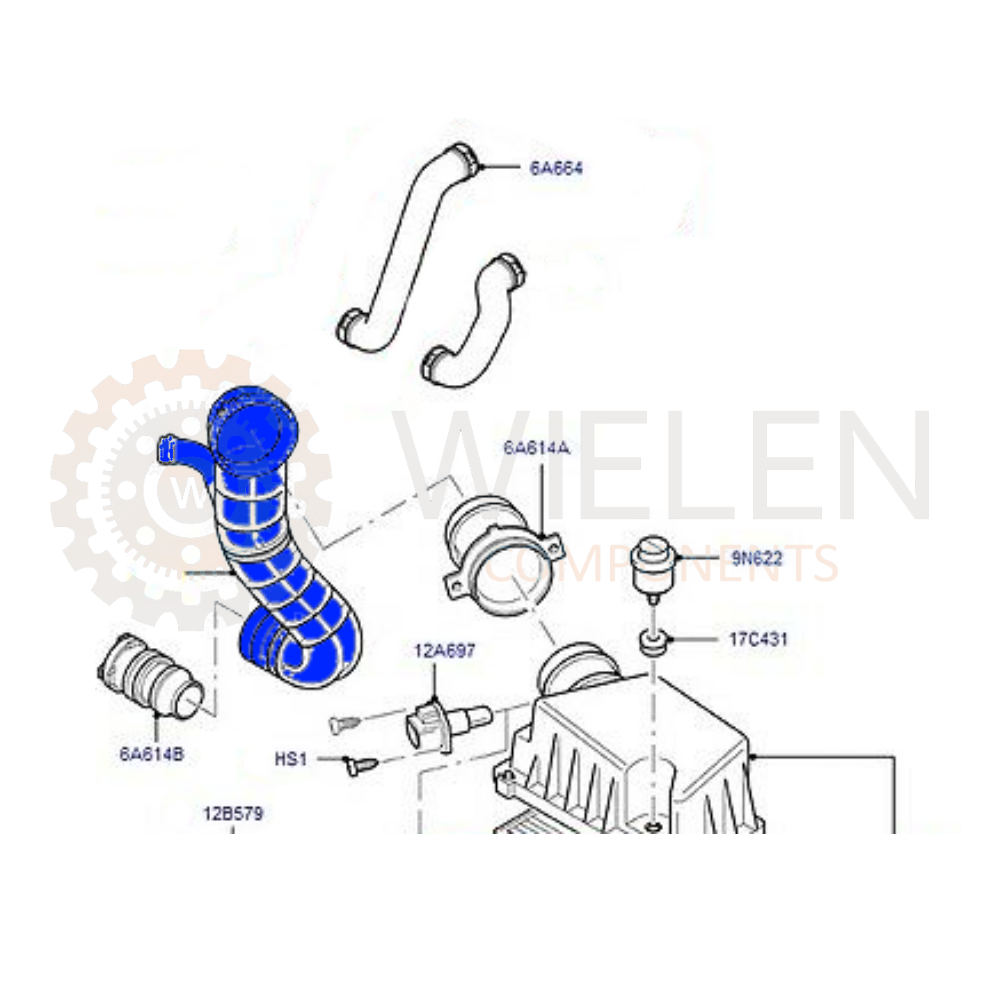 Manicotto Aspirazione Ford W17877H