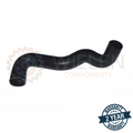 Manicotto Intercooler Fiat W16064H