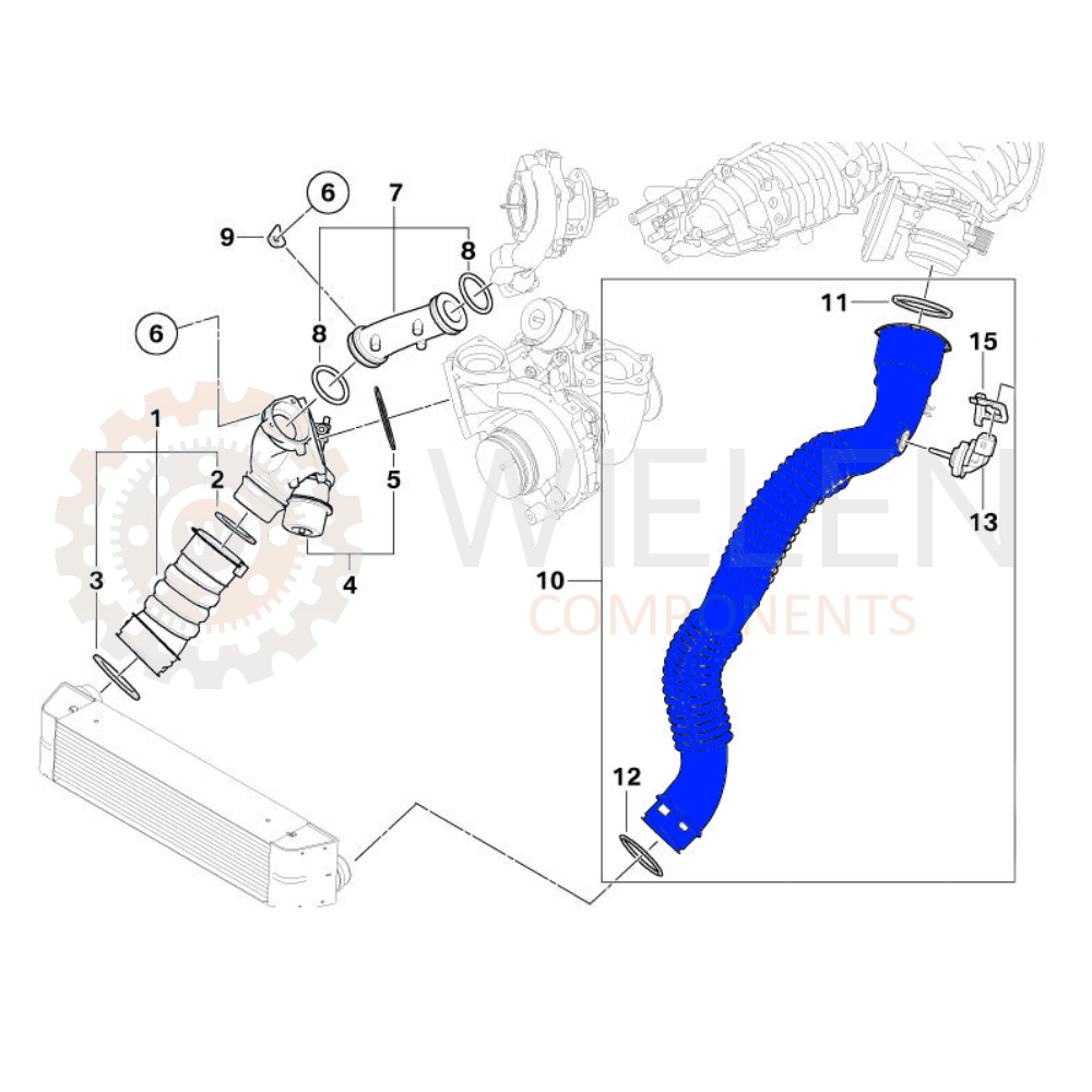 Manicotto Intercooler Bmw W166335H