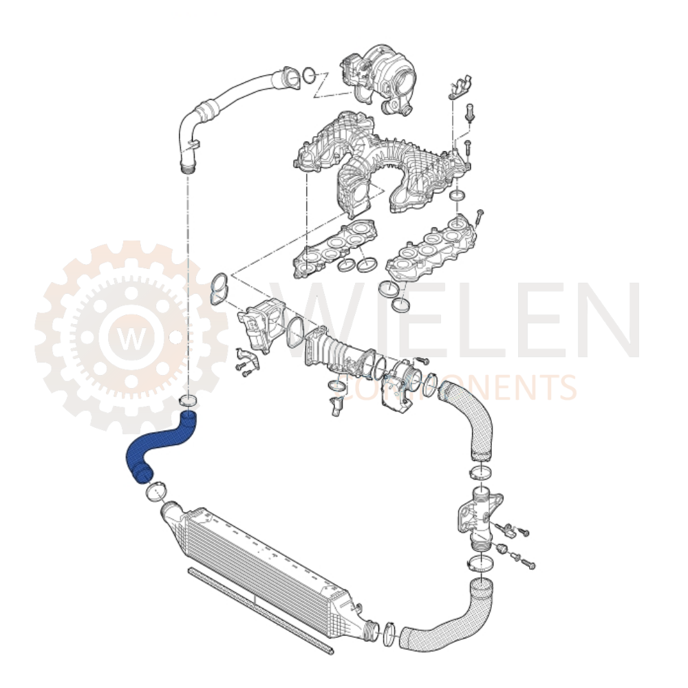 Manicotto Intercooler Audi W144285H