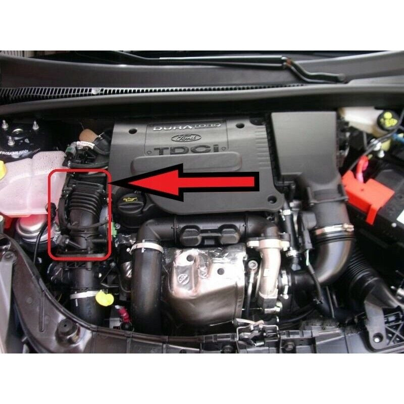 Manicotto Aspirazione Ford W144204H