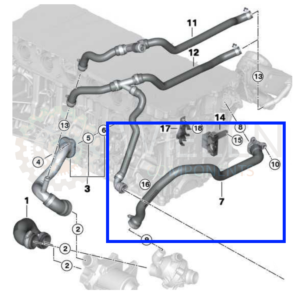 Manicotto Radiatore Bmw W144638H