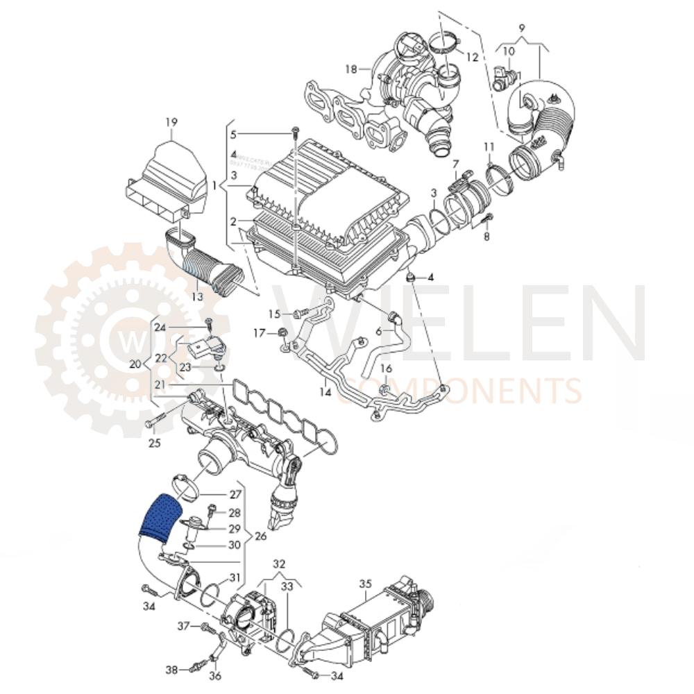 Manicotto Intercooler Audi W16455Silh